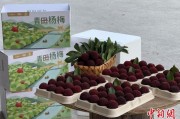 八字事业高速赋能产业升级：一条“杨梅路”的致富密码